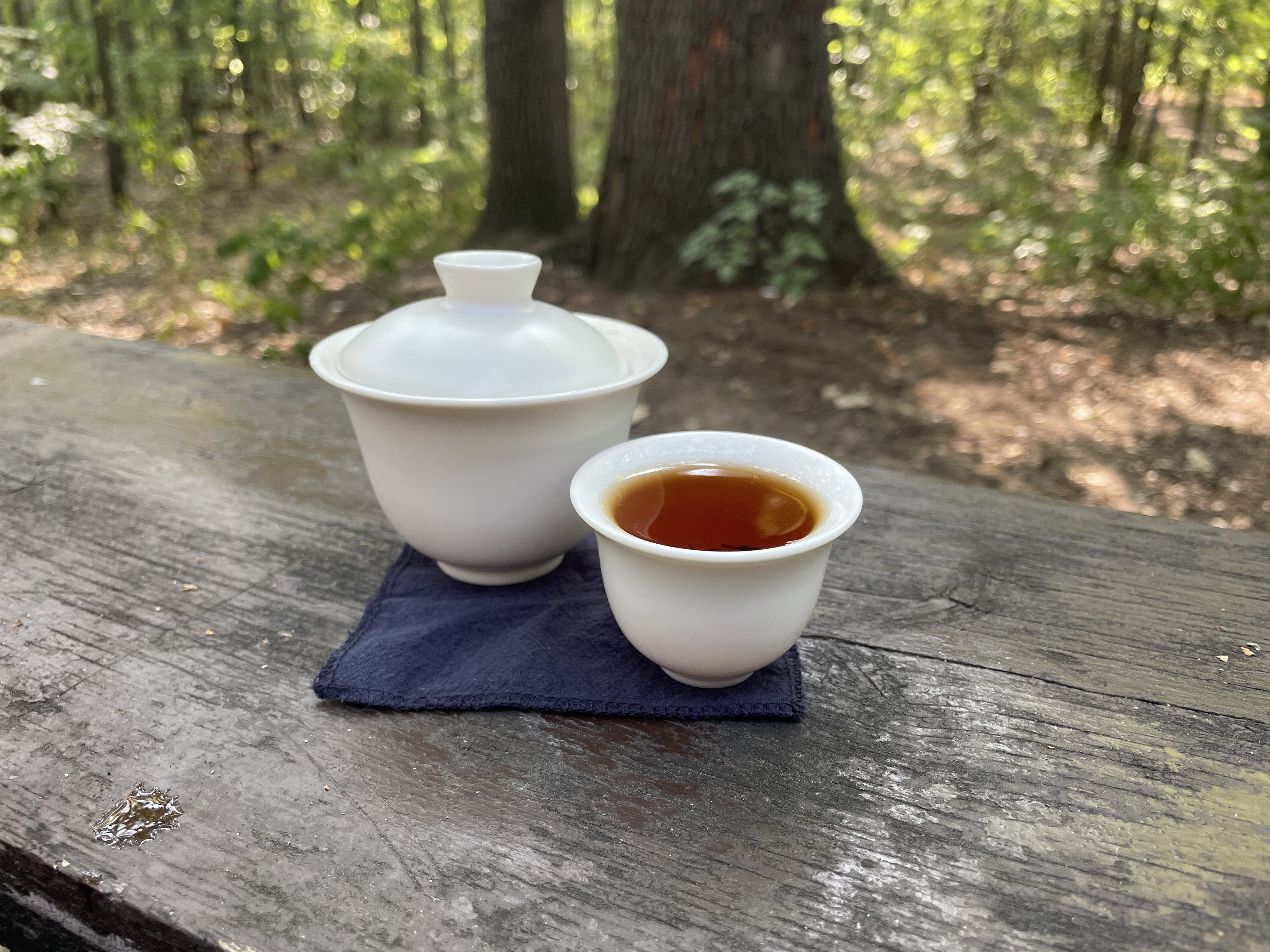 gaiwan tea session